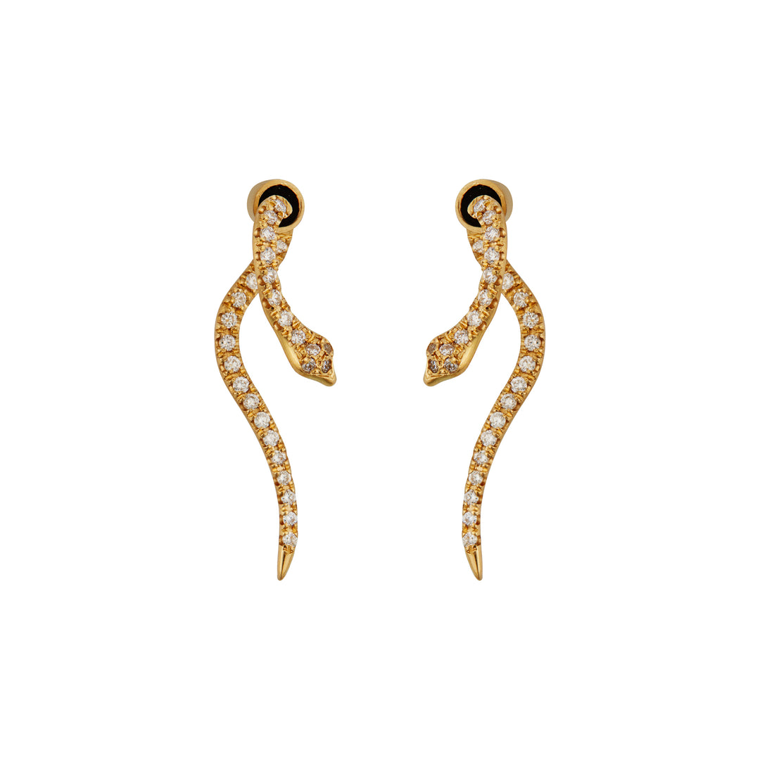 Little Diamond Boa Y-D - SNAKES - Ileana Makri store