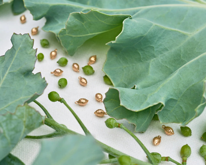 18K Rose Gold & Ebony Sea Kale Drop Earrings, Earrings, Ileana Makri