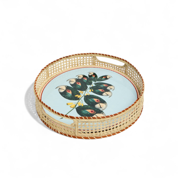 Blooming Buddies Disk Placemats (Set of 4)