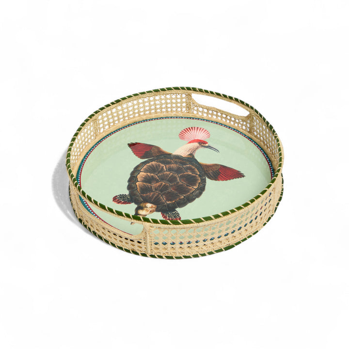 Blooming Buddies Disk Placemats (Set of 4)