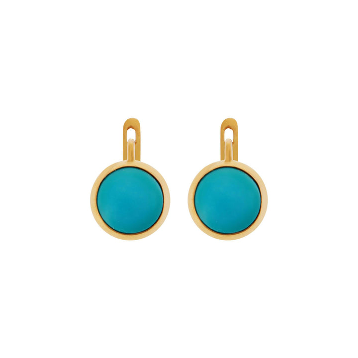 Turquoise Plug Earrings