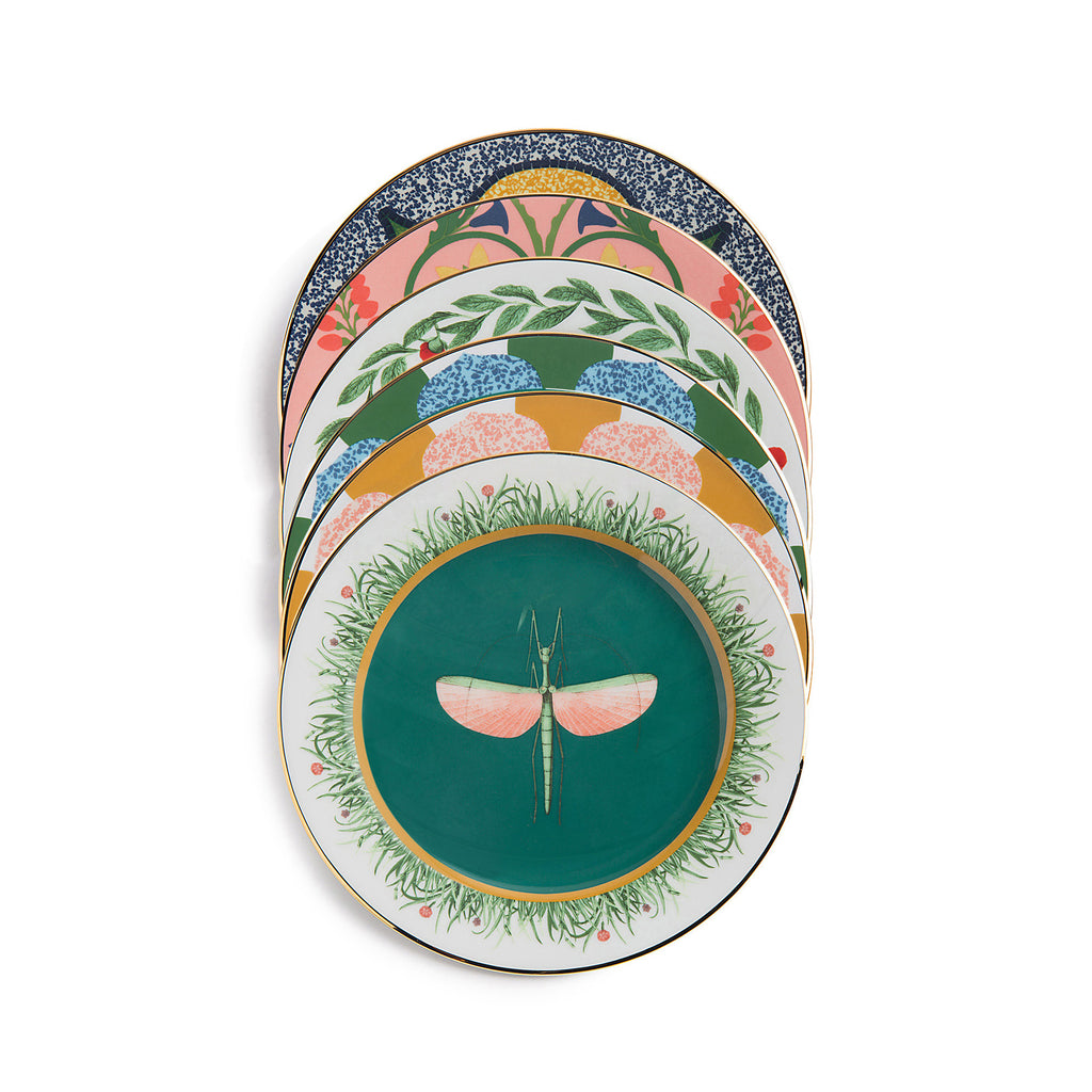 Variety Print Dessert Plates (Set of 6) – Ileana Makri