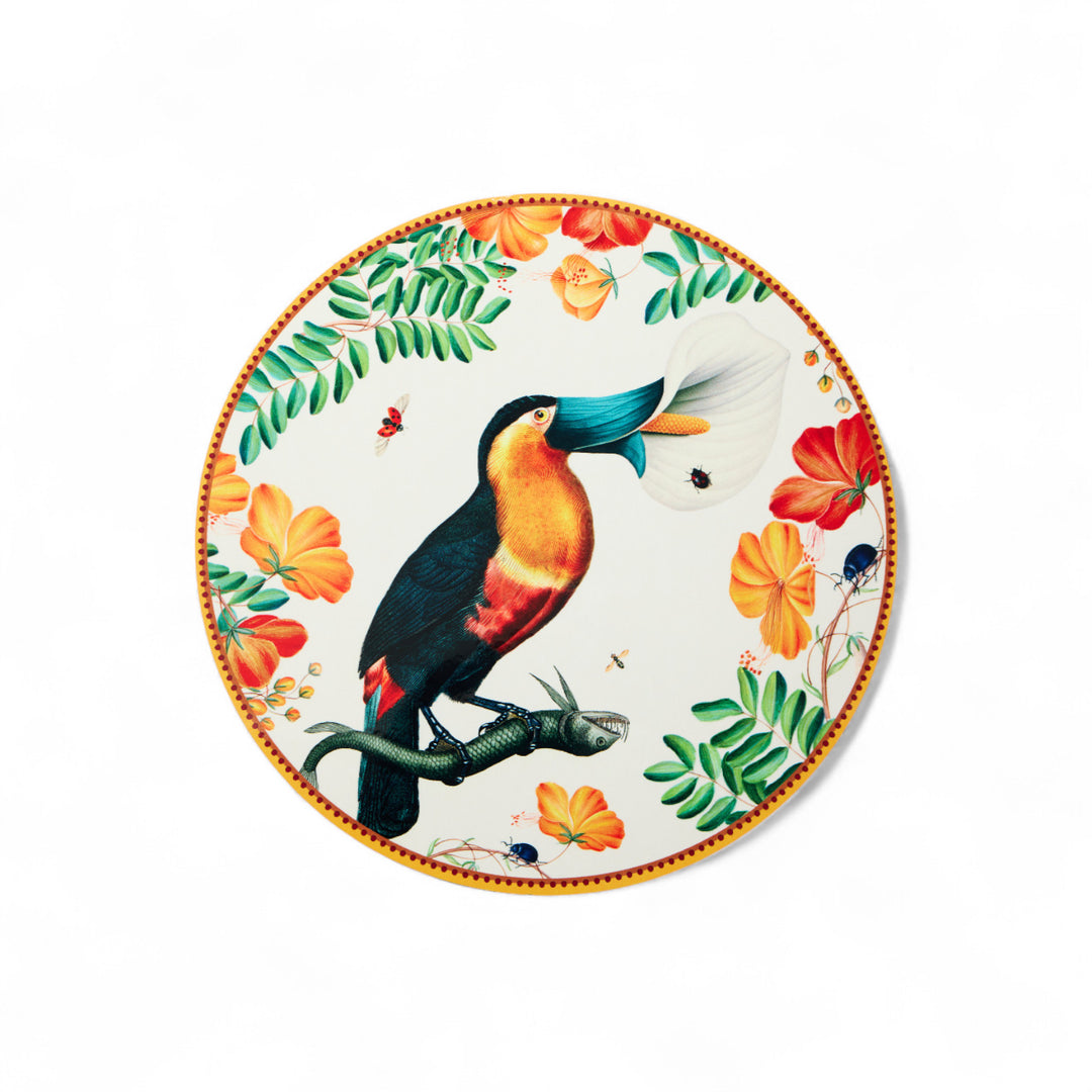 Flying Friends Disk Placemats (Set of 4)