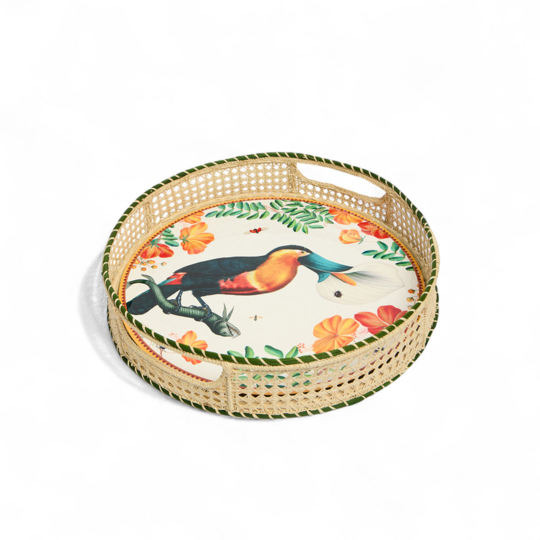 Flying Friends Disk Placemats (Set of 4)