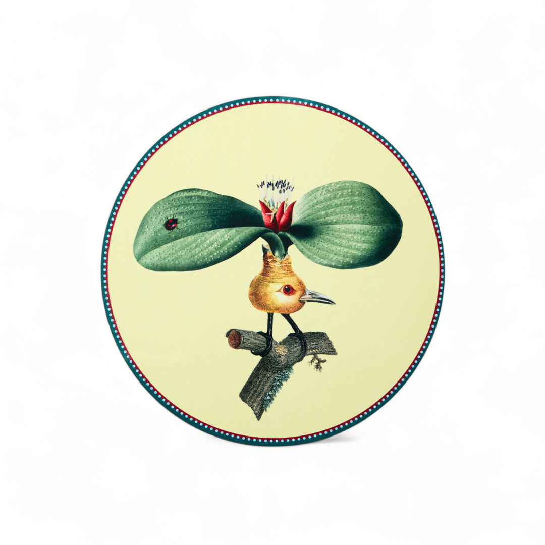 Flying Friends Disk Placemats (Set of 4)