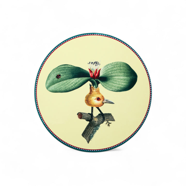 Flying Friends Disk Placemats (Set of 4)