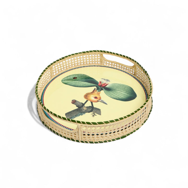 Flying Friends Disk Placemats (Set of 4)