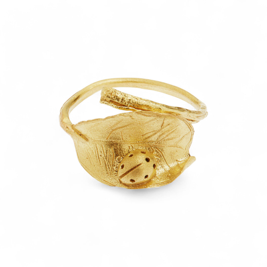 Ladybird on Leaf Ring