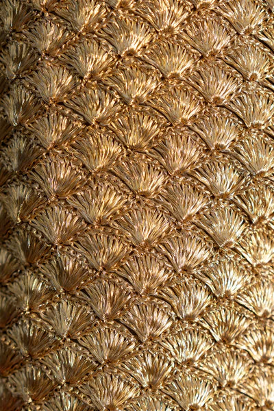 Seashell Clutch Gold