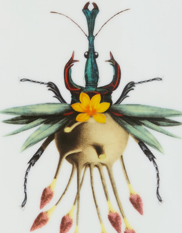 Leafbug Light Blue Trinket Tray