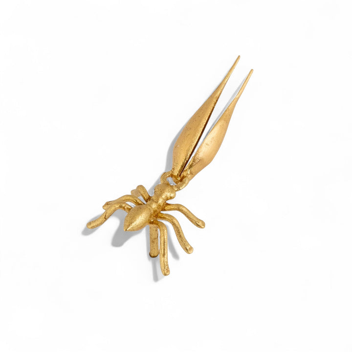 Ant Carrying Wheat Stud - Joanna Peters - Ileana Makri