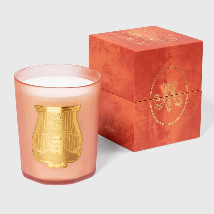 Tuileries Floral & Fruity Chypre Intermezzo - Cire Trudon - Ileana Makri store