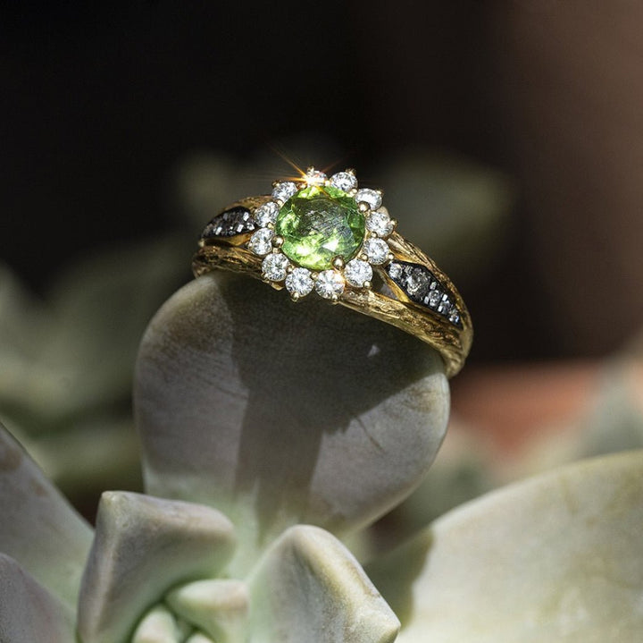 Cathy Ring - Alkemeya - Ileana Makri