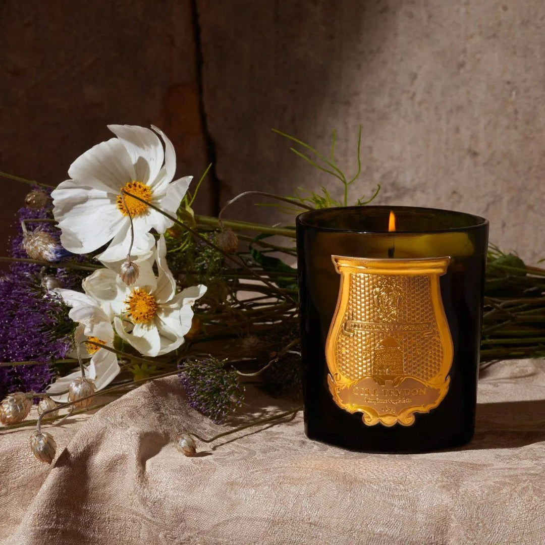 Dada - Tea & Vetiver - Cire Trudon - Ileana Makri