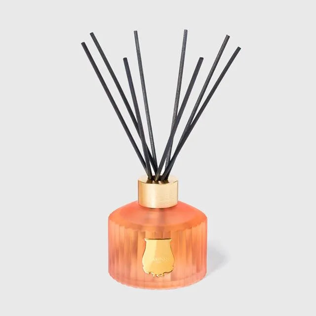 Le Diffuseur Tuileries - Cire Trudon - Ileana Makri store