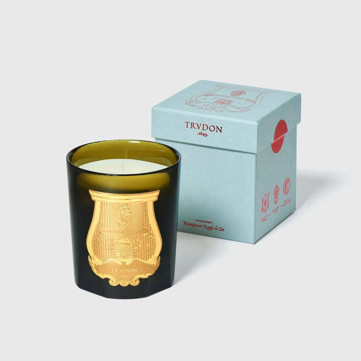 Ernesto - Leather & Tobacco - Cire Trudon - Ileana Makri store