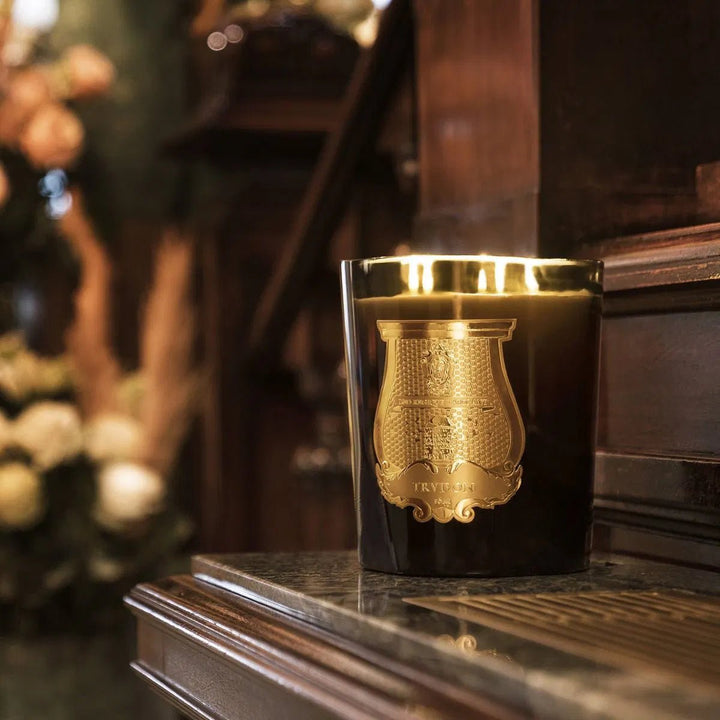 Ernesto - Leather & Tobacco Grande - Cire Trudon - Ileana Makri