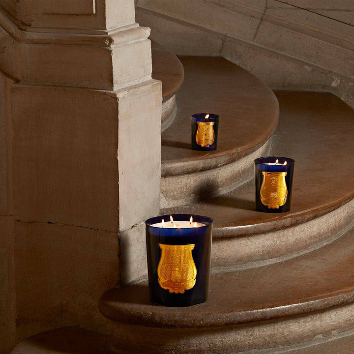 Esterel - Brightness of Mimosa - Cire Trudon - Ileana Makri