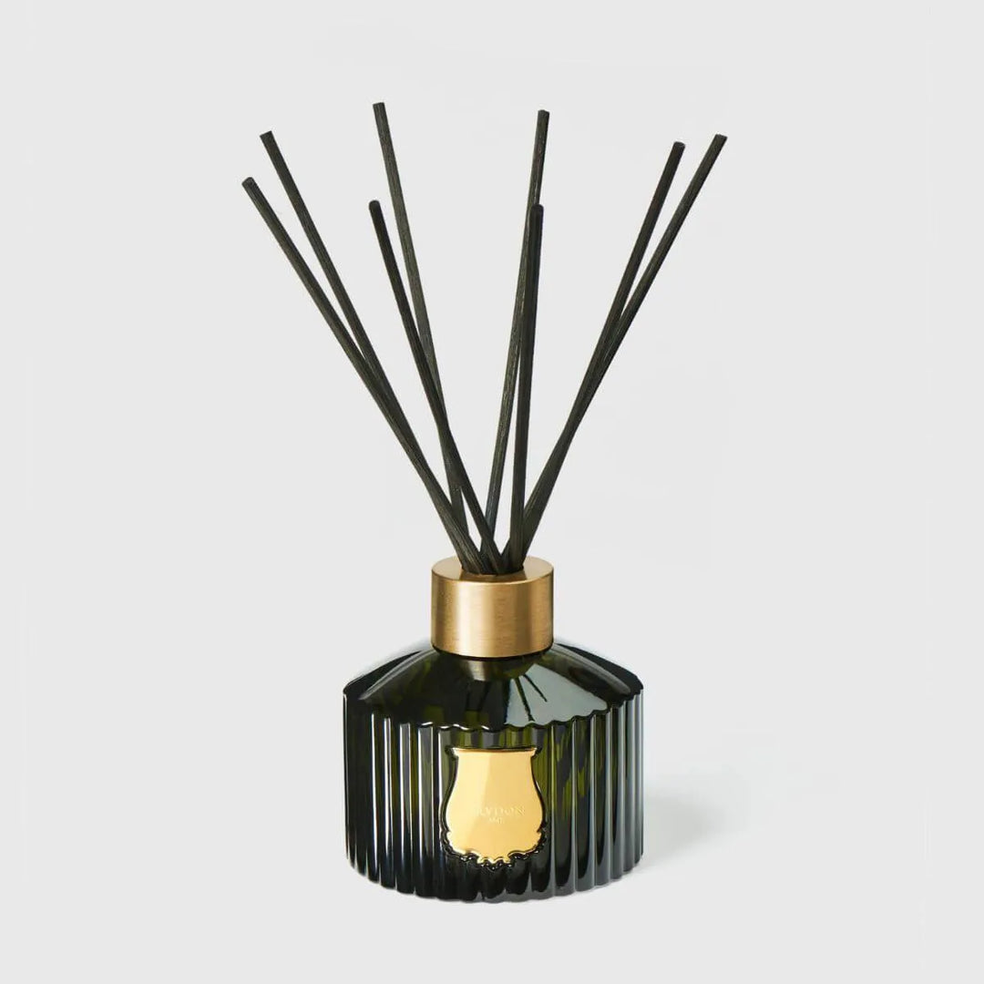 Le Diffuseur ERNESTO - Cire Trudon - Ileana Makri store