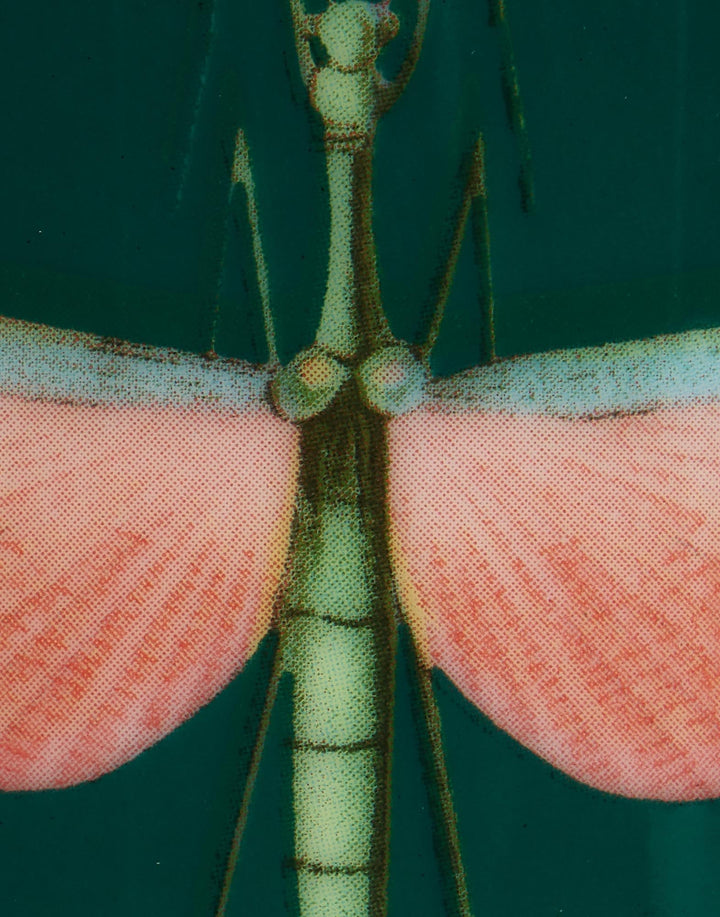 Libellula Green Decorative Cup - La Double J Home - Ileana Makri