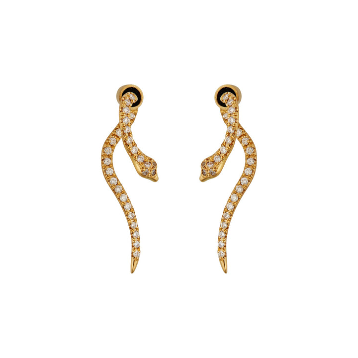 Little Diamond Boa Y - D - SNAKES - Ileana Makri