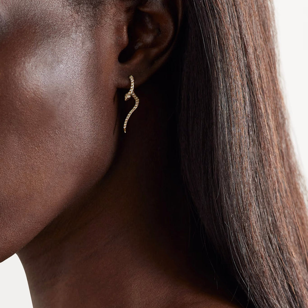 Little Diamond Boa Y - D - SNAKES - Ileana Makri