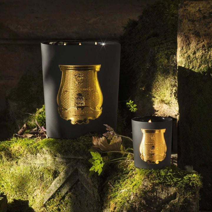 MARY Cedar & Gaiac - Cire Trudon - Ileana Makri store