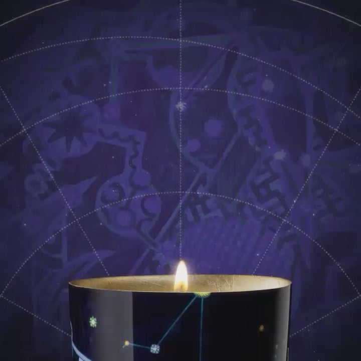 Luna - Winter Flower 2025