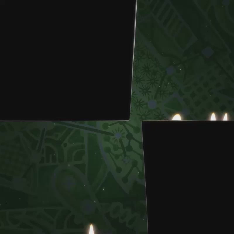 Fir - Christmas Tree 2025