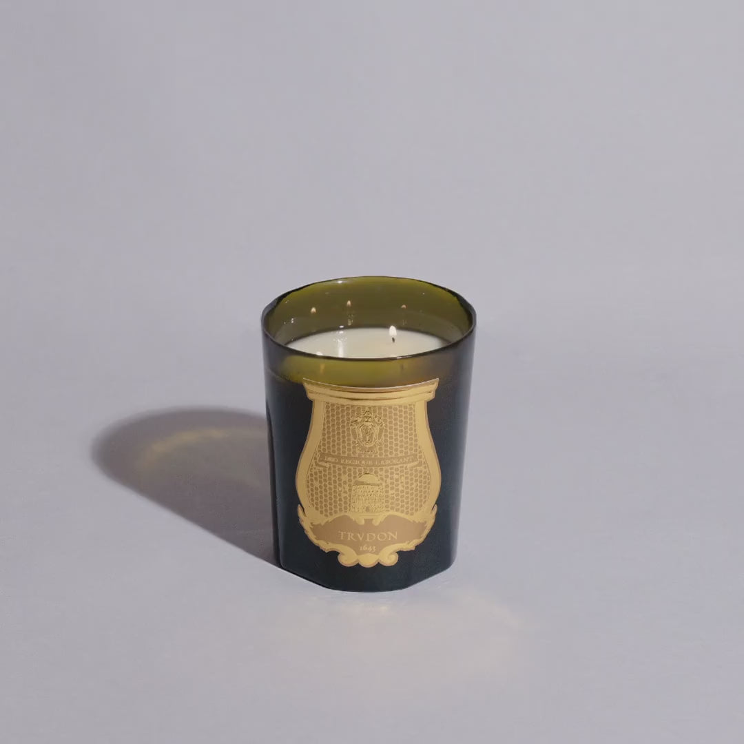 Gabriel Gourmand Chimney Fire Intermezzo (800gr)