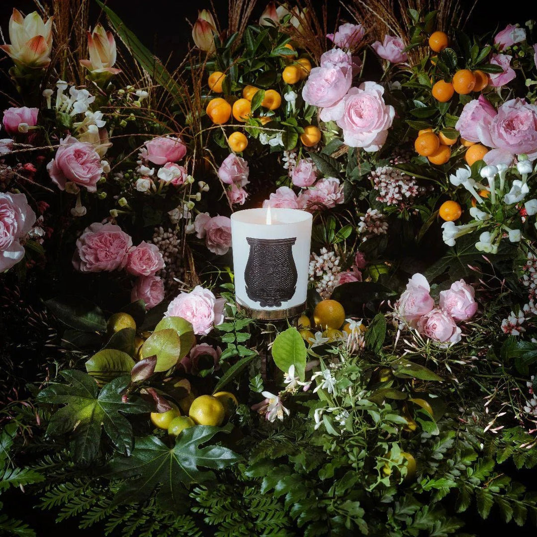 ROSE POIVRE Giambattista Valli - Cire Trudon - Ileana Makri