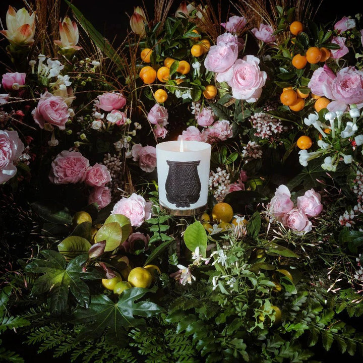 ROSE POIVRE Giambattista Valli - Cire Trudon - Ileana Makri