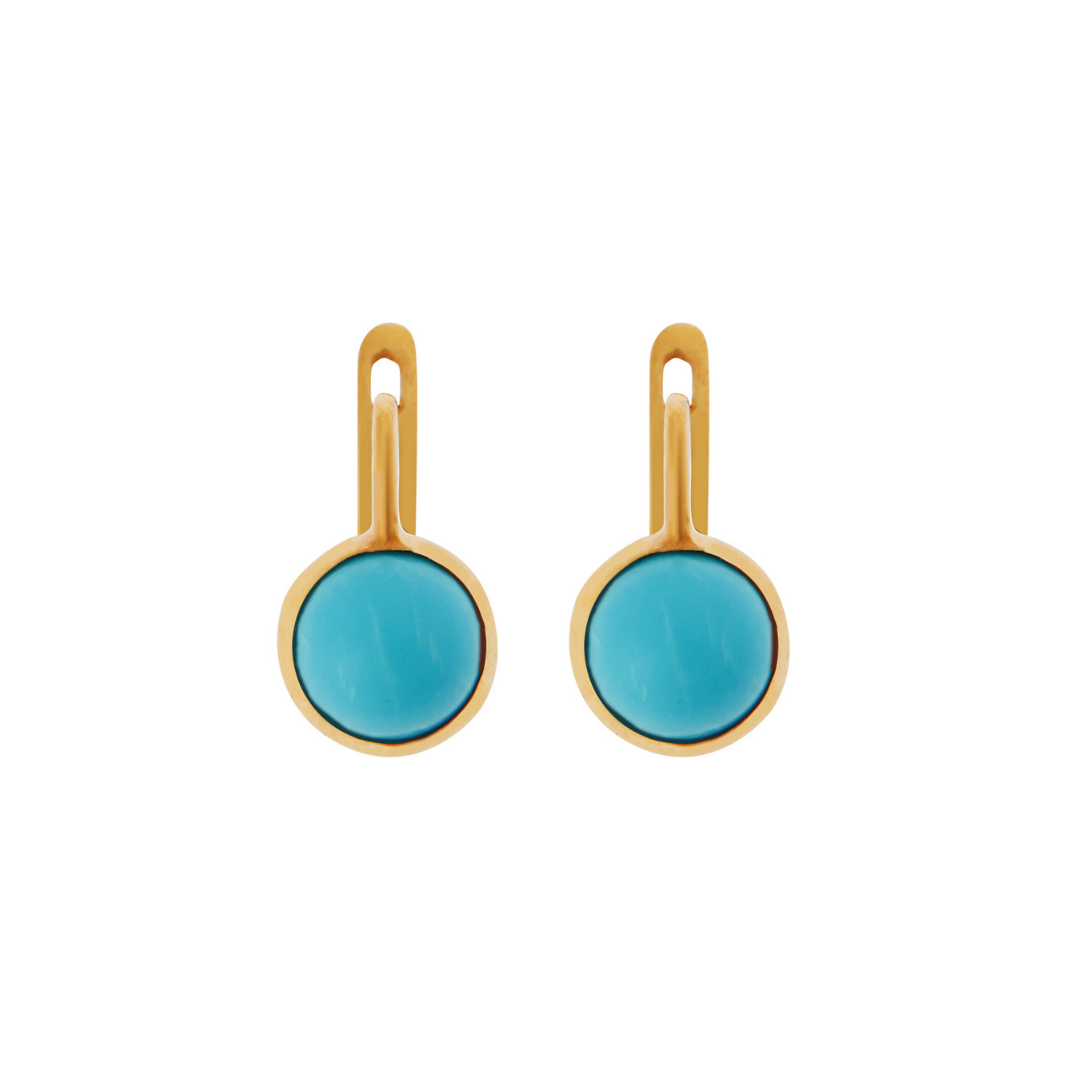 Turquoise Plug Earrings