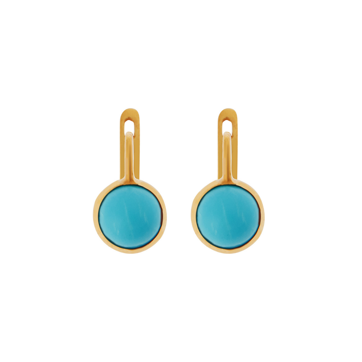 Turquoise Plug Earrings