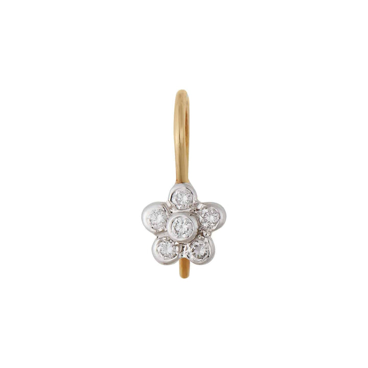 Solitary Flower W - D - Florescence - Ileana Makri