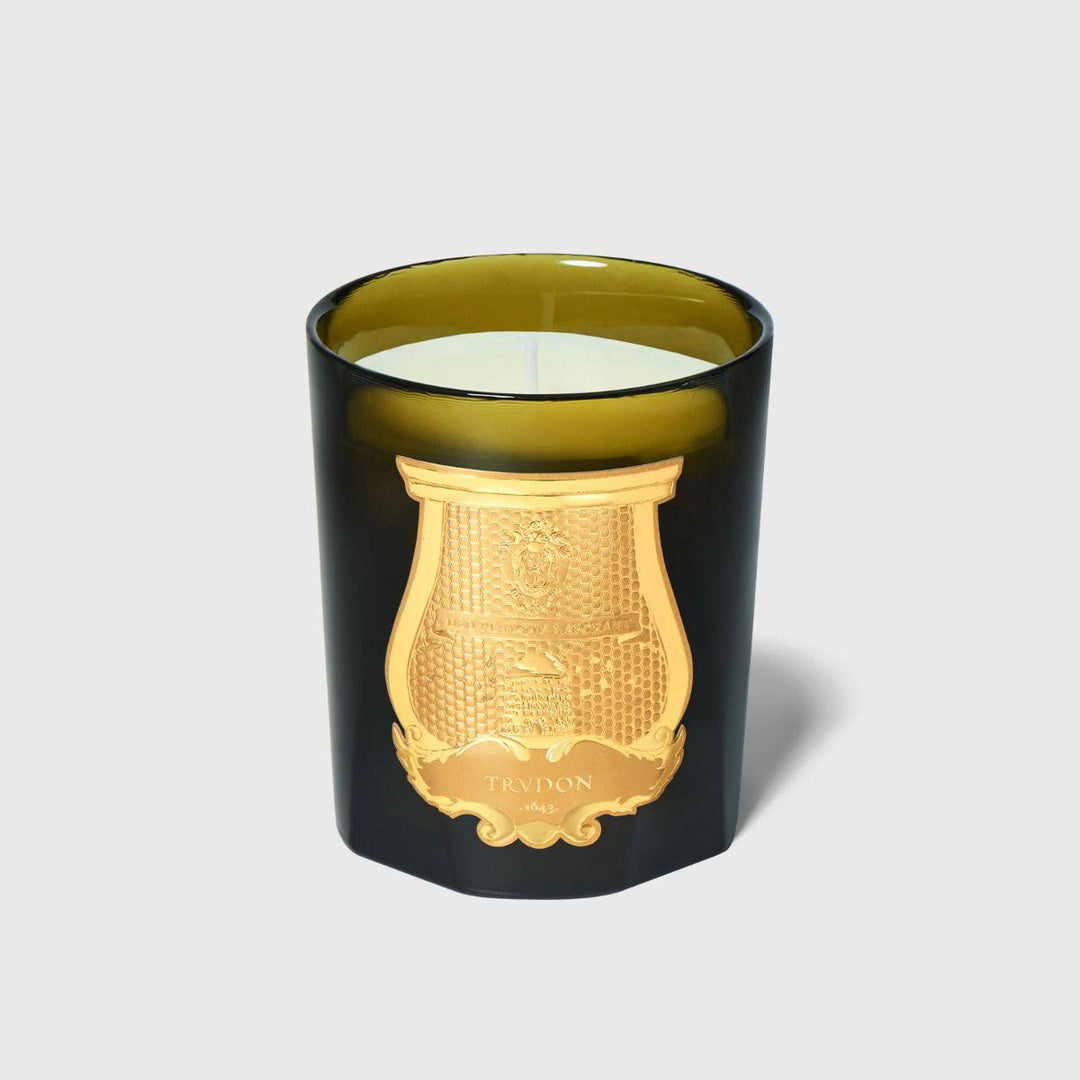 Spiritus Sancti - Incense - Cire Trudon - Ileana Makri