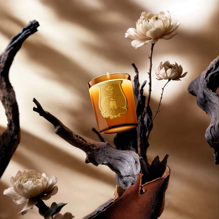 Altair - Oud and Rose, Candles, Ileana Makri