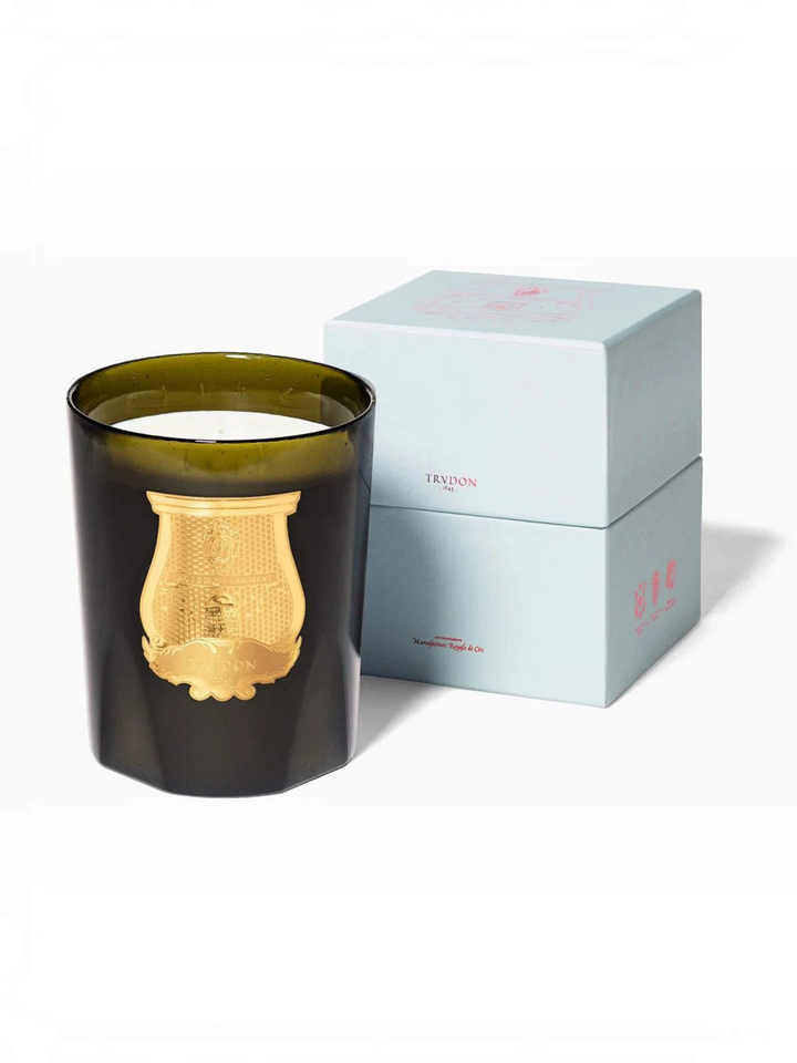 Ileana Makri Trudon Ernesto Grande candle in dark green glass with gold emblem next to its light blue gift box.
