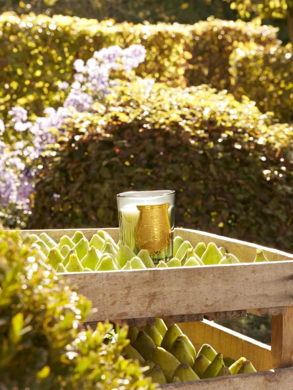 Ileana Makri Figuerie Royal Fig candle in a green glass vessel with a gold emblem, set on a crate of fresh figs.