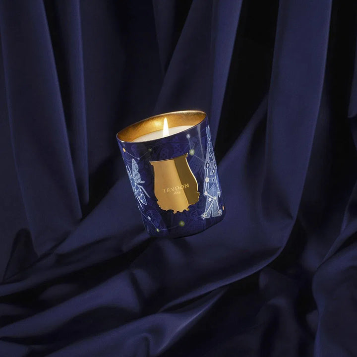 Luna - Winter Flower 2025