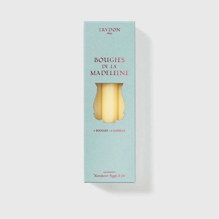 Ivory Madeleine Tapered Candles (Box of 6), Candles, Ileana Makri