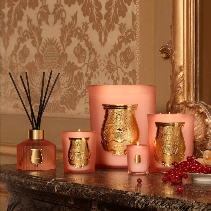 Le Diffuseur Tuileries - Cire Trudon - Ileana Makri store