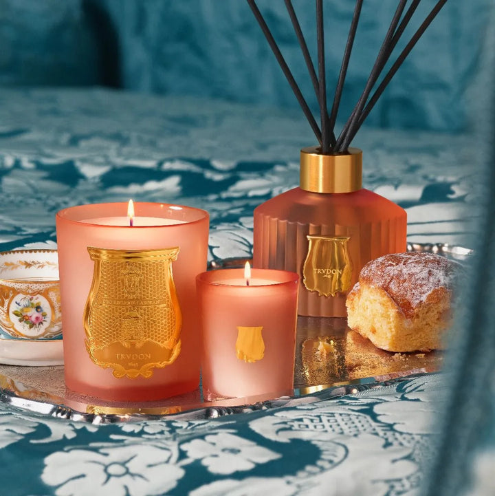 Le Diffuseur Tuileries - Cire Trudon - Ileana Makri store