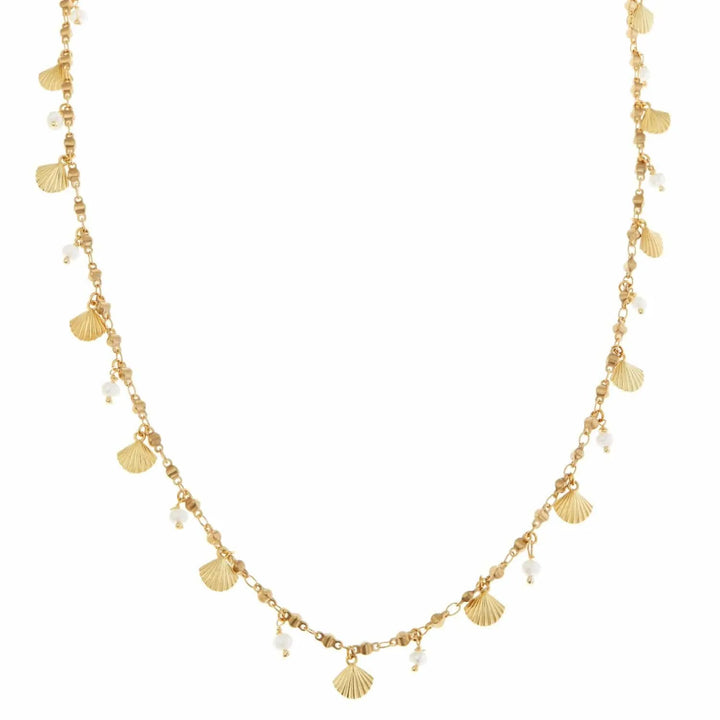 Venus Clam Necklace BR-YP-PEARL - Eye M Sea Treasures - Ileana Makri store